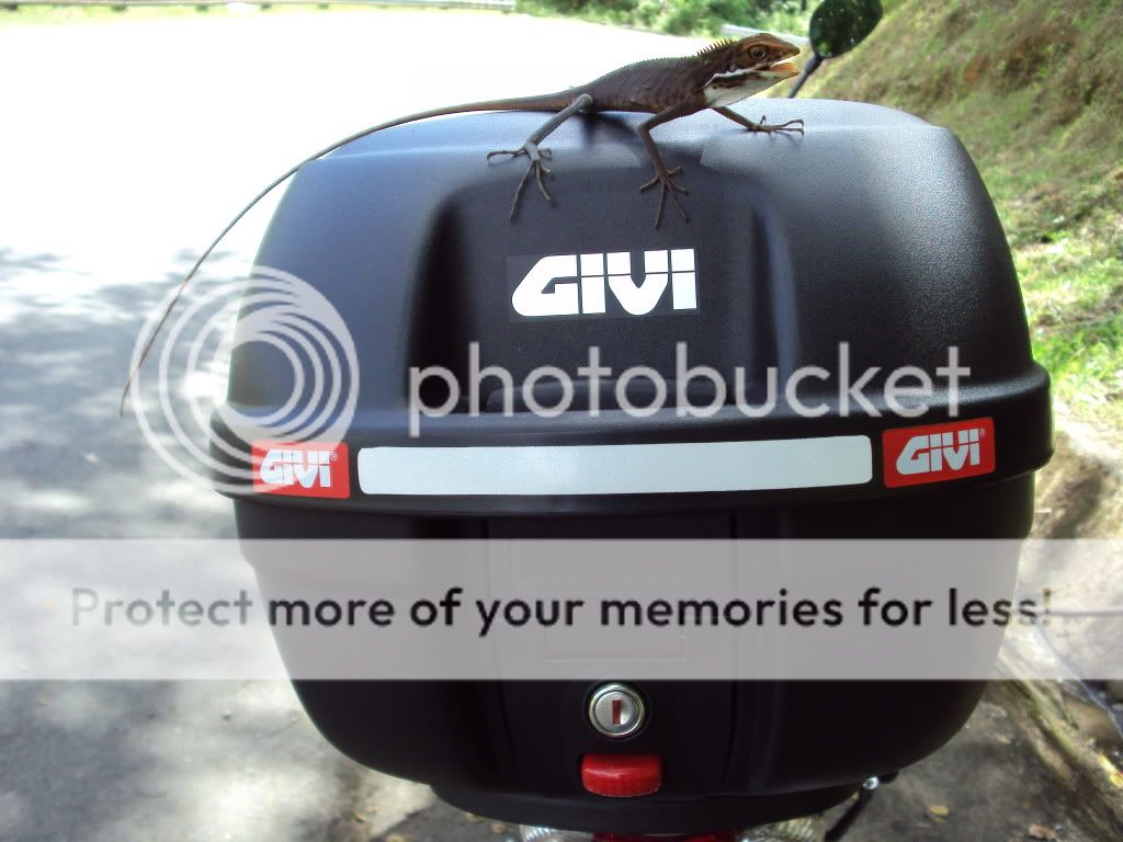 givi box store